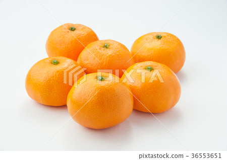 6 Wenzhou oranges 6 Wenzhou oranges 36553651