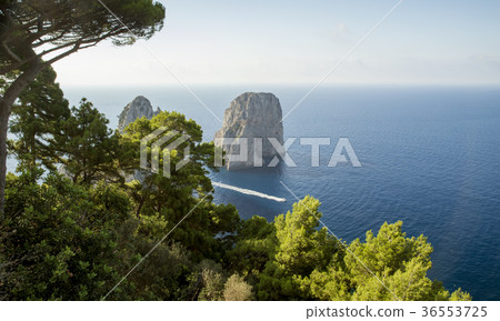 View on Faraglioni rocks from Capri island, Italy 36553725