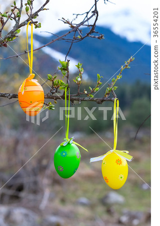 colorful painted Easter eggs on the tree 36554201