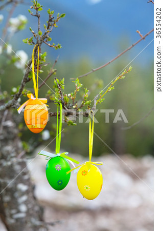 colorful painted Easter eggs on the tree colorful painted Easter eggs on the tree 36554202