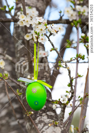 colorful painted Easter eggs on the tree colorful painted Easter eggs on the tree 36554203