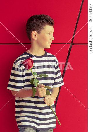 the boy holds a rose on a red background the boy holds a rose on a red background 36554359