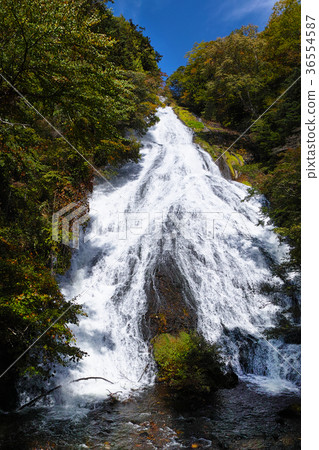 [Nikko National Park] Yutaki (beginning of autumn colors) 36554587