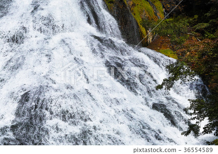 [Nikko National Park] Yutaki (beginning of autumn colors) 36554589