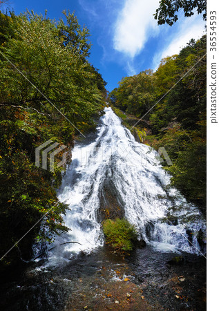 [Nikko National Park] Yutaki (beginning of autumn colors) 36554593