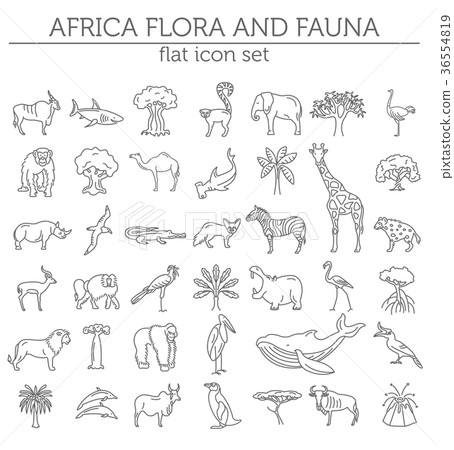 Flat African flora and fauna  elements 36554819