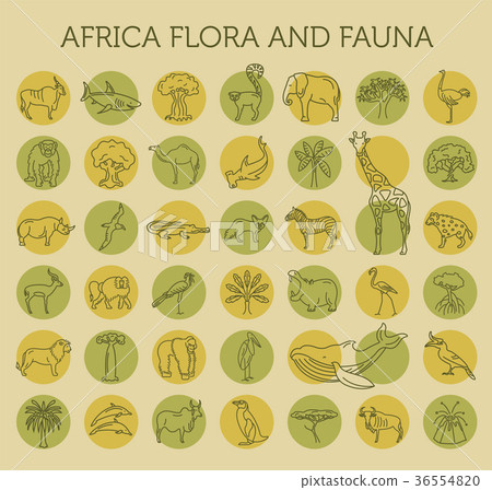 Flat African flora and fauna  elements. 36554820