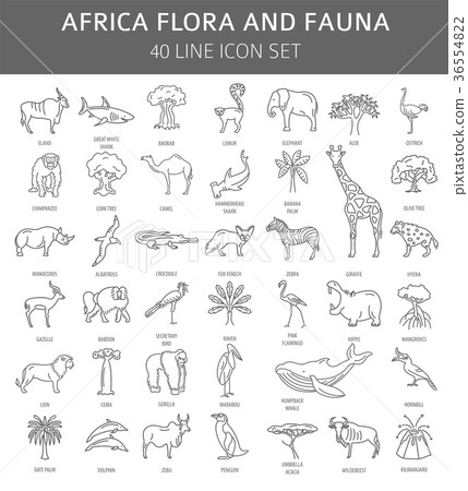 Flat African flora and fauna  elements. 36554822