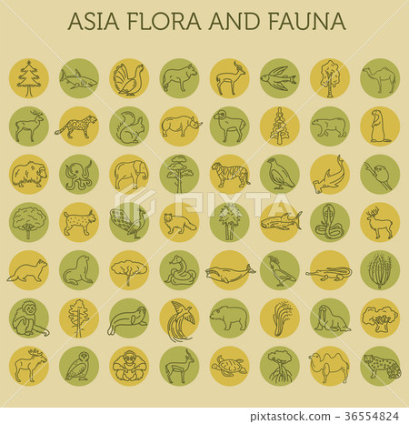 Flat Asian flora and fauna  elements. 36554824