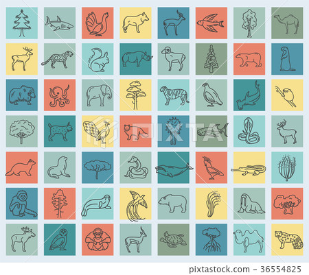 Flat Asian flora and fauna  elements. 36554825