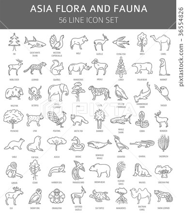 Flat Asian flora and fauna  elements 36554826