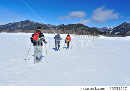 Crossing on the lake Snowshoe Walking Crossing on the lake Snowshoe Walking 36555227