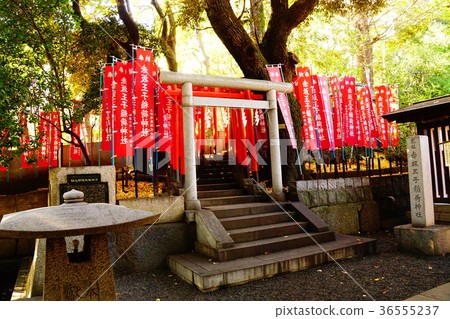 Ozaka Oji Inari神社 36555237