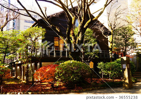 老諾吉之家 老諾吉之家 36555238