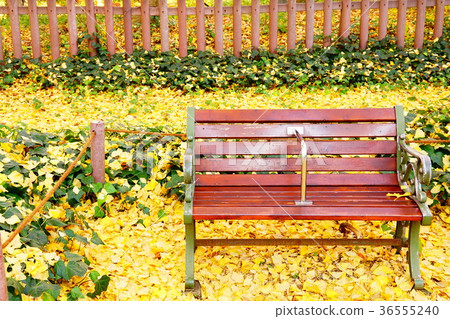 神宮外苑銀杏內襯板凳 36555240