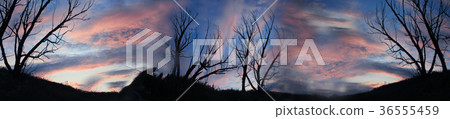 panorama.hill at sunset silhouette sky stripes panorama.hill at sunset silhouette sky stripes 36555459