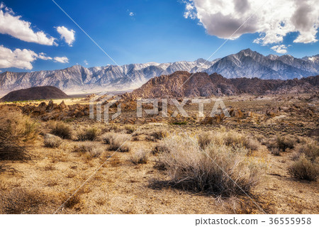Alabama Hills in Sierra Nevada Mountains Alabama Hills in Sierra Nevada Mountains 36555958