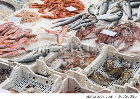 Colorful choice of fish at a market in Palermo 36556080