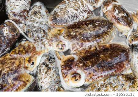 Fresh Octopuses at the fish market in Catania 36556135