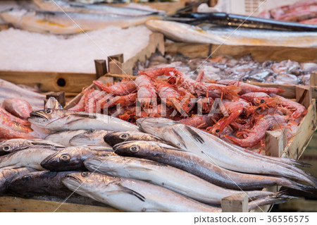 Seafood at traditional fish market in Palermo Seafood at traditional fish market in Palermo 36556575