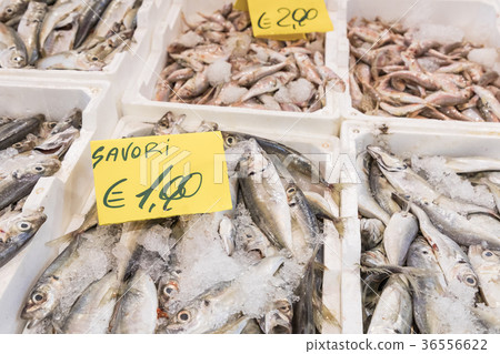 Colorful choice of fish at traditional market 36556622