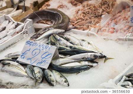 Colorful choice of fish at traditional market Colorful choice of fish at traditional market 36556630