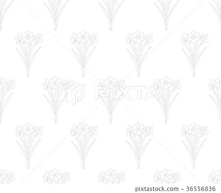 Daffodil - Narcissus Seamless on White Background Daffodil - Narcissus Seamless on White Background 36556836