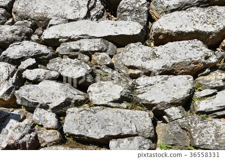 濱松城的石垣 濱松城的石垣 36558331