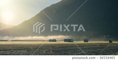 Houses in Switzerland in the morning mist  36558465
