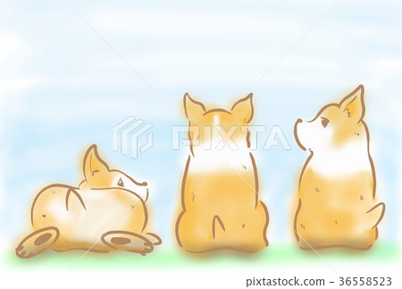 新年的卡片材料 36558523