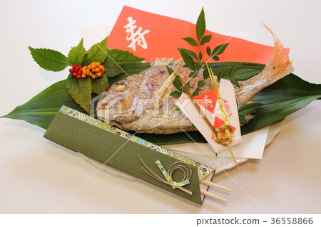 Celebration Snapper Celebration Snapper 36558866