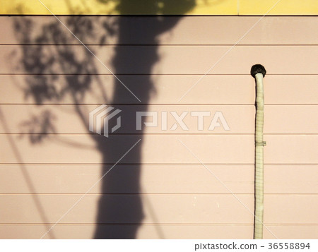 Siding exterior wall with shadow of tree 36558894