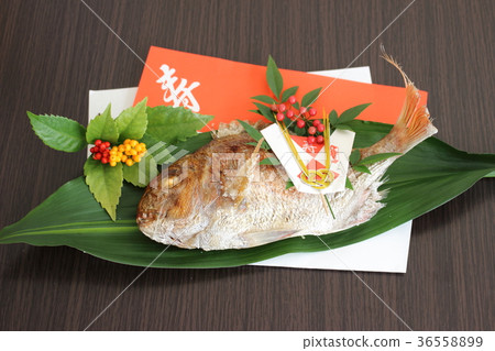 慶祝鯛魚 慶祝鯛魚 36558899