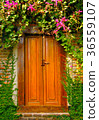Wooden door with nature 36559107