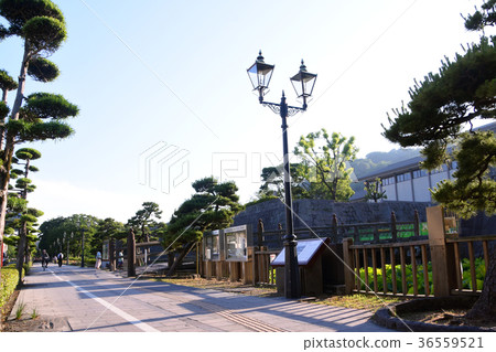 鹿兒島Tsurumaru城堡和大濠的景觀 鹿兒島Tsurumaru城堡和大濠的景觀 36559521