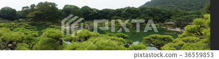 Panorama of Takamatsu City, Kagawa Prefecture, and special scenic spot "Kuribayashi Park" 36559853