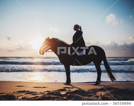 woman sitting on black horse at sea beach 36559999