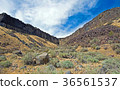Columnar Basalt Cliffs Over Sagebrush 36561537