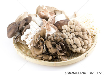 Assorted mushrooms Assorted mushrooms 36561723