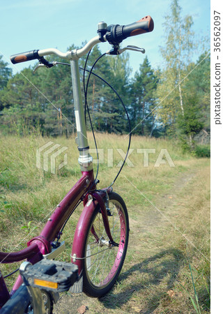 Bicycle on a forest path Bicycle on a forest path 36562097