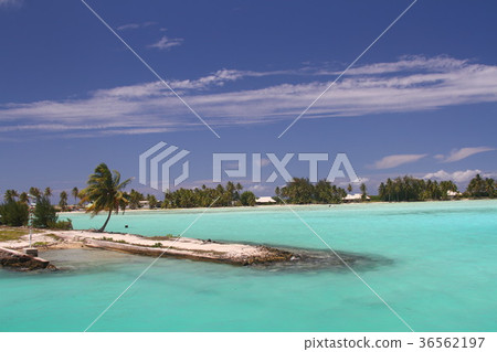 大溪地藍海南太平洋 36562197