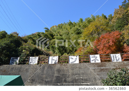 Jokouji Aiki隧道組 Jokouji Aiki隧道組 36562860