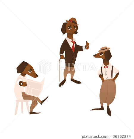 vector dog character in formal clothing set 36562874