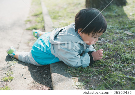 child, whelp, younger 36563485