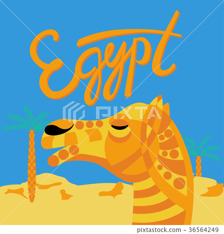 camel decorated head 36564249