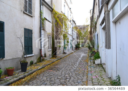 Behind the alley of Paris 36564489