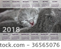the calendar for 2018year 36565076
