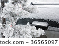 car in the snow. snowy winter. cleaning 36565097