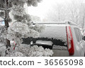 car in the snow. snowy winter. cleaning 36565098