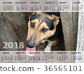 the calendar for 2018. a dog with 36565101